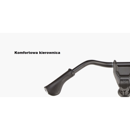 RIESE & MULLER - CHARGER 5 PINION HS (45 KM/H)