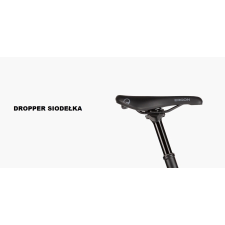 RIESE & MULLER - CHARGER 5 PINION HS (45 KM/H)