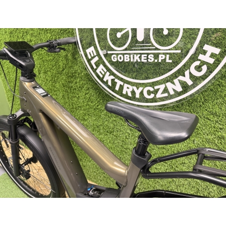 RIESE & MULLER - DELITE 5 PINION