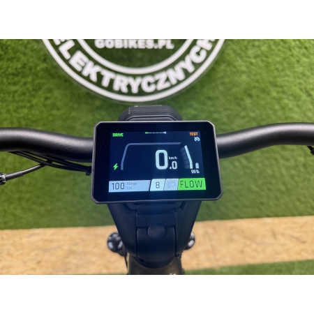 RIESE & MULLER - DELITE 5 PINION