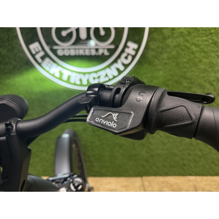 RIESE & MULLER - HOMAGE 5 VARIO