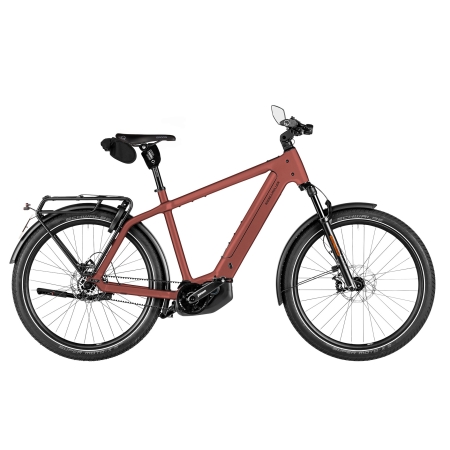 RIESE & MULLER - CHARGER 5 PINION HS (45 KM/H)