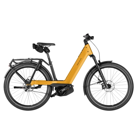 RIESE & MULLER - NEVO 5 PINION